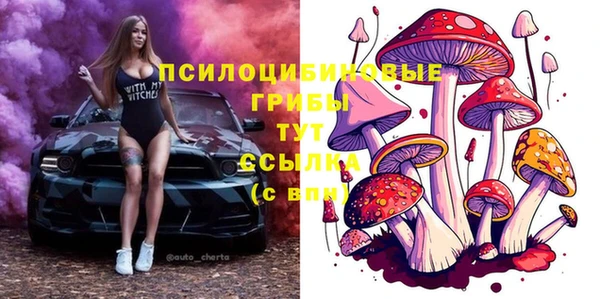 мяу мяу кристалл Алексин