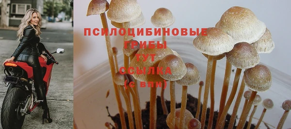 гашишное масло Алзамай