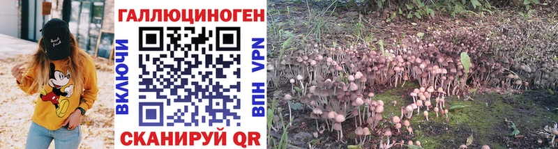Галлюциногенные грибы ЛСД  Ртищево 