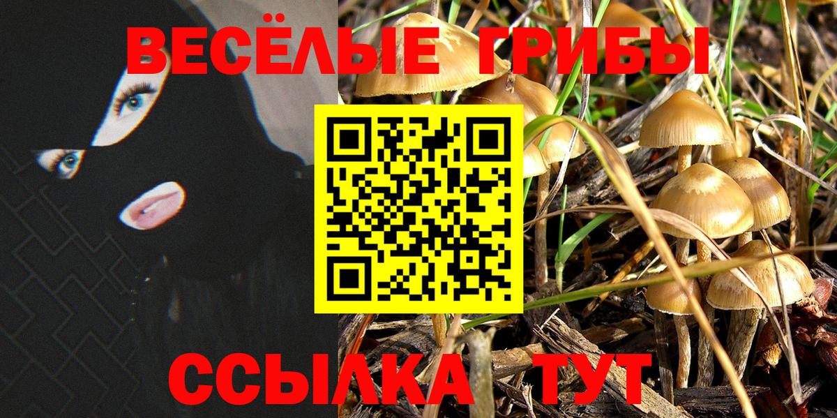 Ртищево  Галлюциногенные грибы мицелий  Вход с VPN  Псилоцибиновые грибы Psilocybine cubensis 